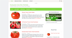 Desktop Screenshot of caramanfaat.com