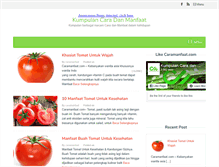 Tablet Screenshot of caramanfaat.com